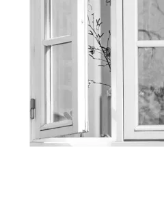 Помыть створки окон